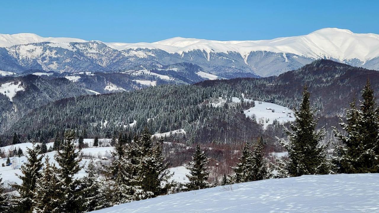 Casablanca Villa Podu Dimbovitei Kültér fotó